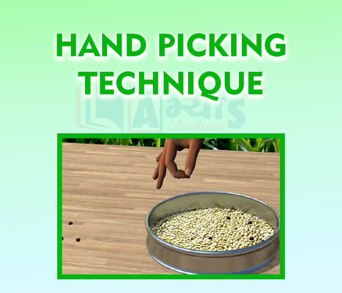 hand picking examples in daily life essay