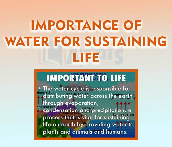 Importance Of Water To Life Astonishingceiyrs