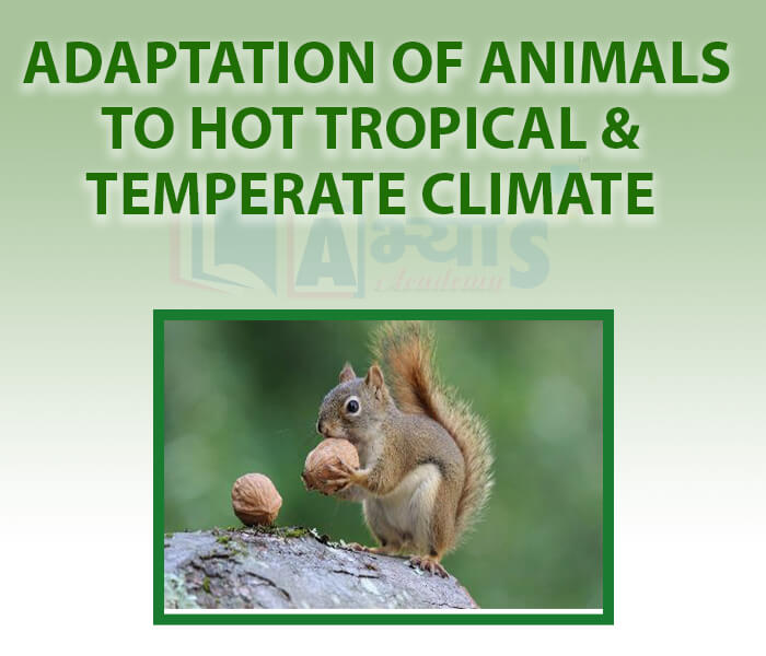 Adaptation of Animals to Hot tropical and temperate Climate