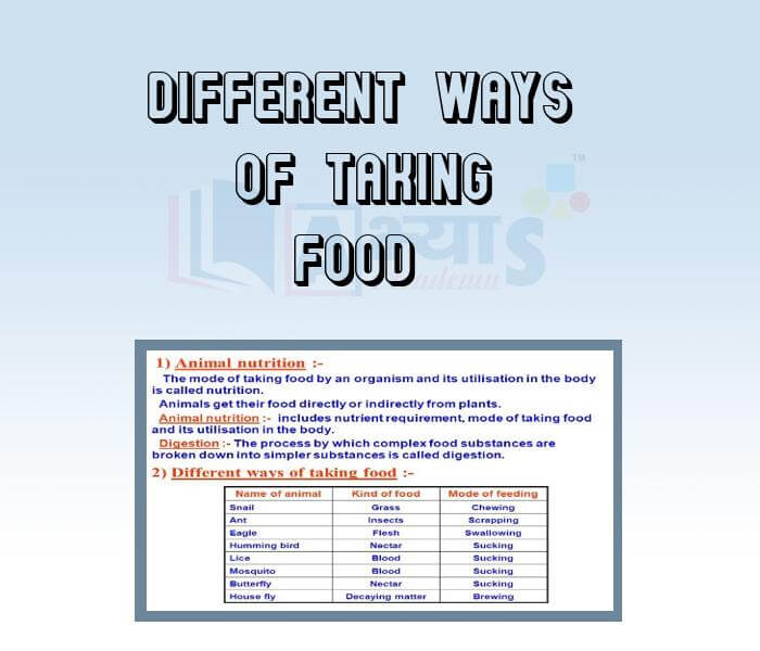 Different ways of taking Food