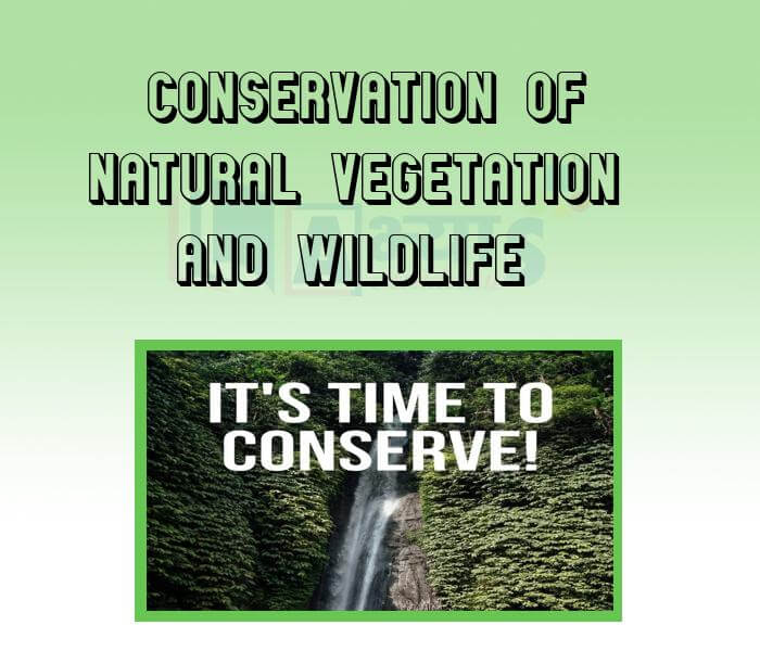 Conservation of Natural Vegetation and Wildlife